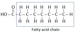 saturated fats quizlet|saturated fatty acids quizlet.